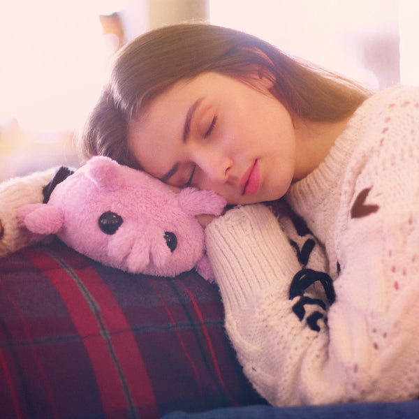Sea pig plush store