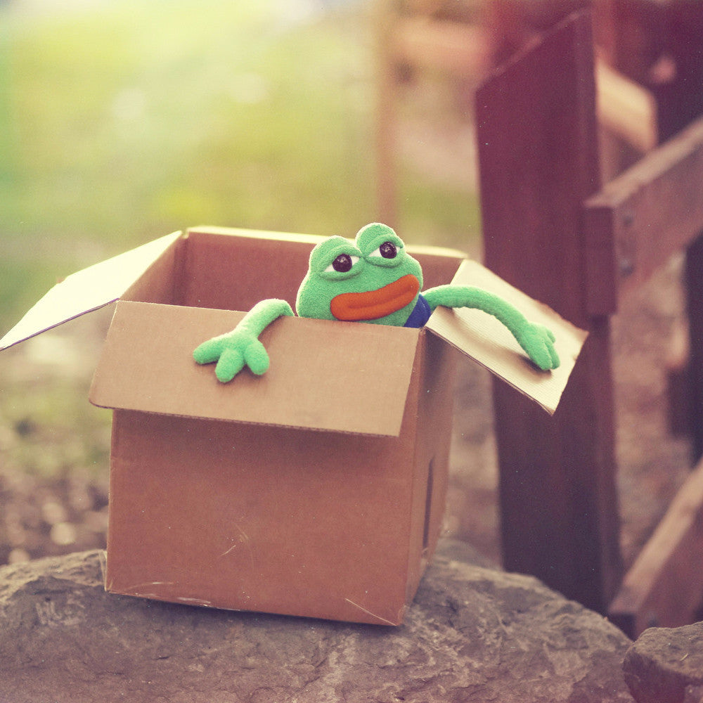 Pepe toy in a box