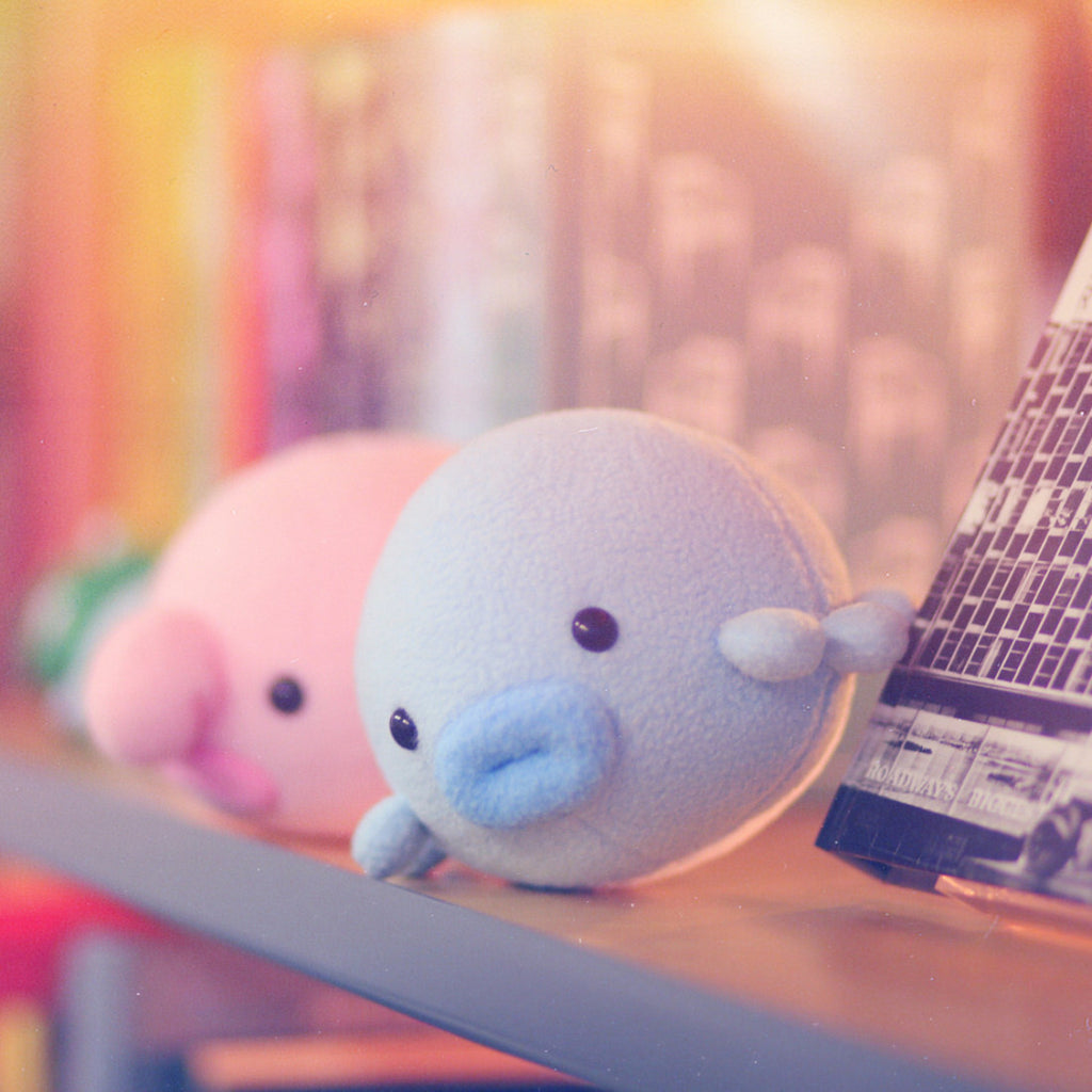 Blobfish (Oddballz™) – Hashtag Collectibles