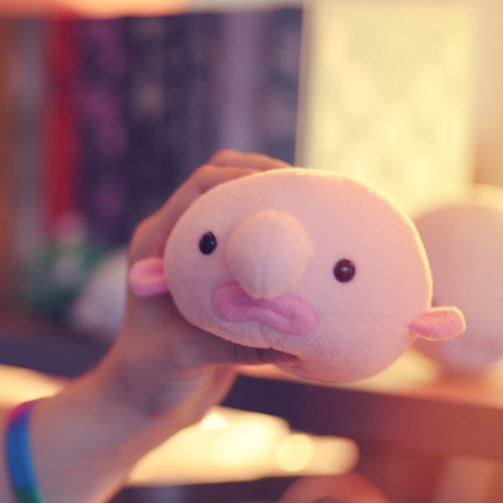 Blobfish (Oddballz™) – Hashtag Collectibles