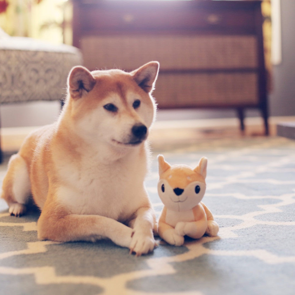 Doge - stuffed toy by Hashtag Collectibles