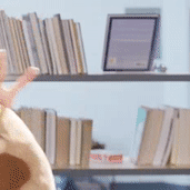 Potoo Puppet missing a worm (animated gif)