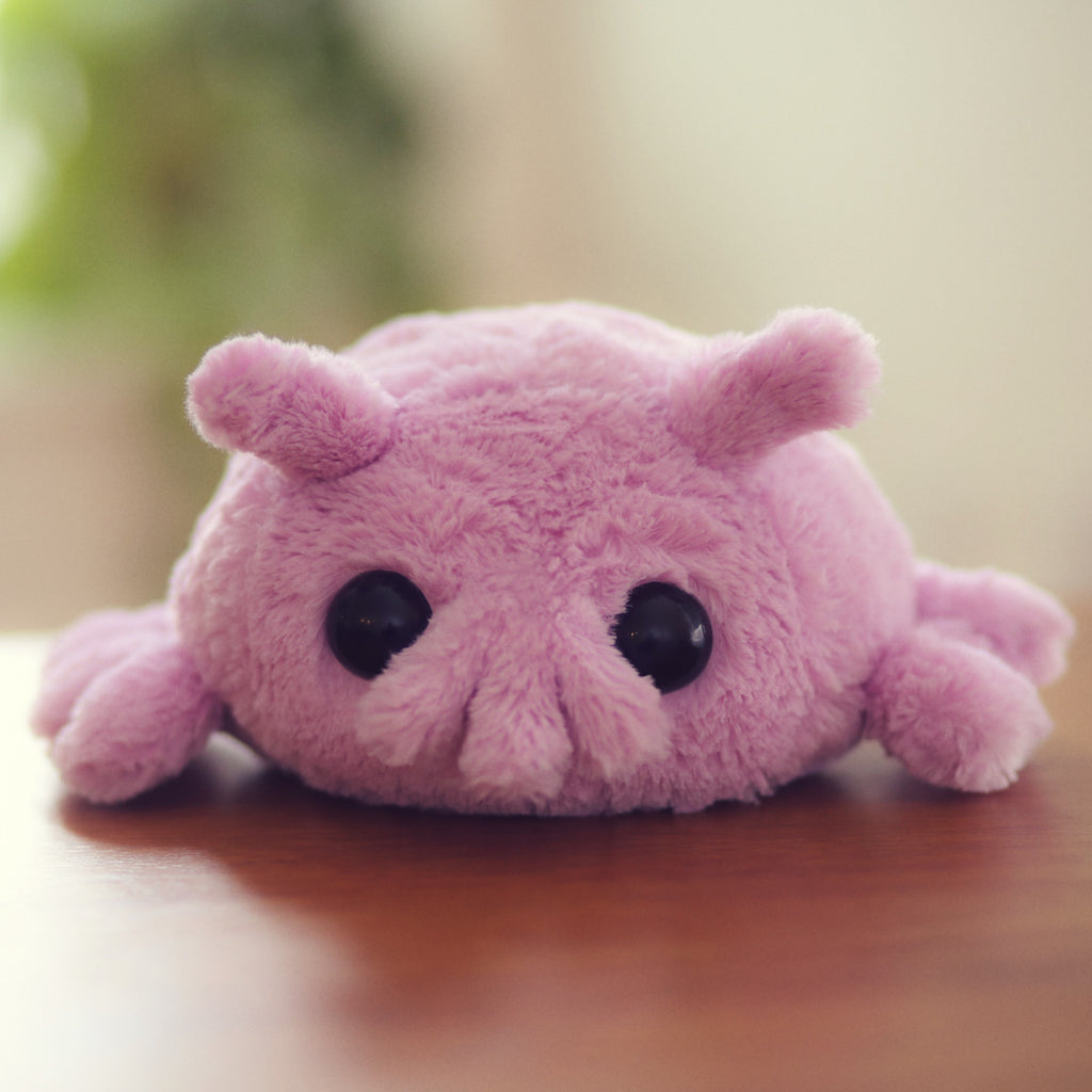 Sea Pig Mini