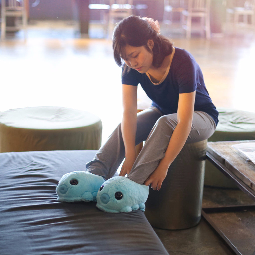 Water Bear (tardigrade) Slippers