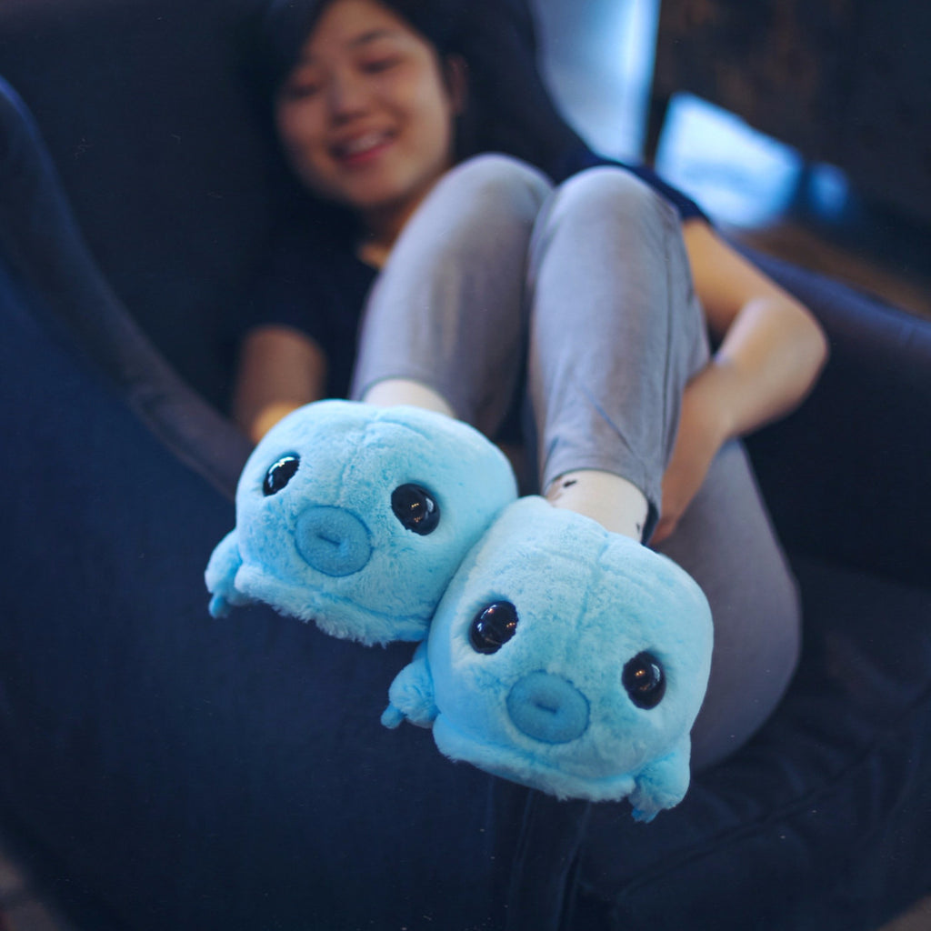 Water Bear (tardigrade) Slippers